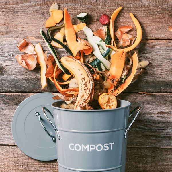 Composting Guide For Beginners