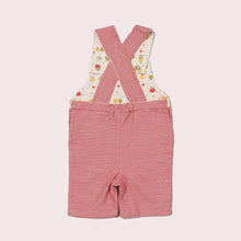 Load image into Gallery viewer, An Apple A Day Striped Shortie Dungarees
