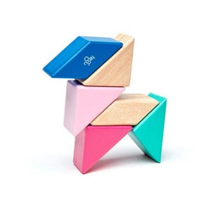 Pocket Pouch Prism Magnetic Wooden Blocks - 6 Pieces (Blossom)