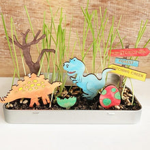 Load image into Gallery viewer, Cotton Twist Make Your Own Dinosaur Garden *Reduced to Clear*