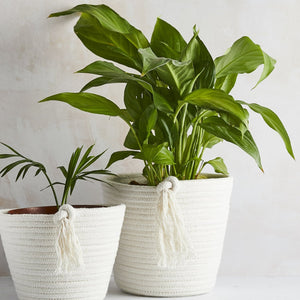 Cotton Eco Twist Plant Pot - Large
