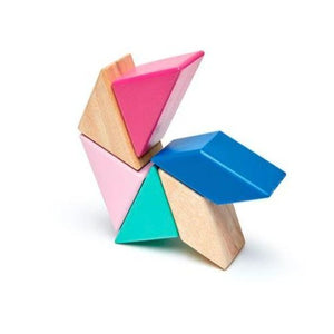 Pocket Pouch Prism Magnetic Wooden Blocks - 6 Pieces - Blossom